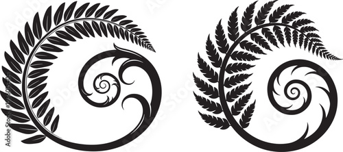 Elegant black fern frond and spiral swirl graphic design elements, representing nature and organic growth.