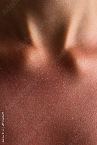 Sunburned Skin Texture on Neck and Collarbone Close-Up