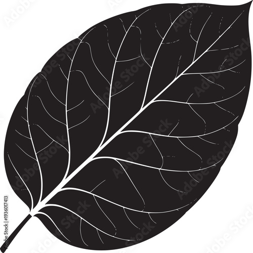 Isolated black leaf with white veins on a white background in a minimalist style illustration