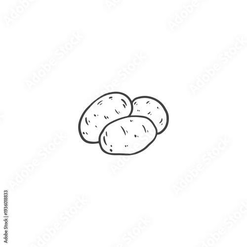 hand drawn potato in sketch style. Potato doodle. Vector illustration