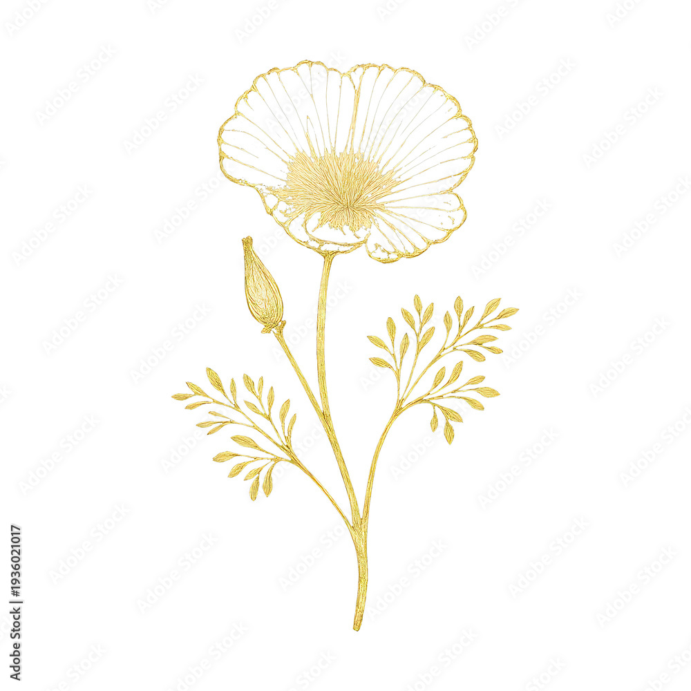 Obraz premium PNG Elegant golden floral illustration