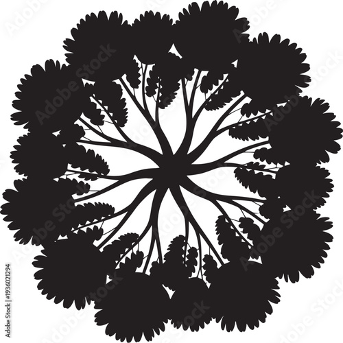 Top down view of a tree silhouette with branches radiating outward forming a circular canopy shape