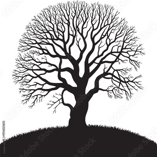 Silhouette of a bare tree with intricate branches standing on a grassy hill against white background