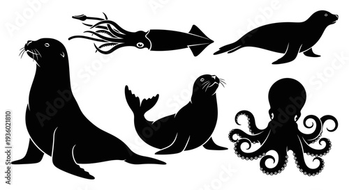 Marine Animals Silhouettes Set: Octopus, Squid, and Sea Lions Collection