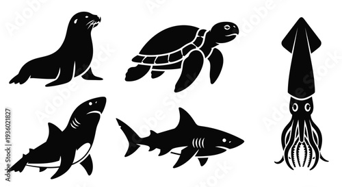 Marine Animals Silhouettes Set: Sea Lion, Turtle, Shark, and Squid Vector Icons