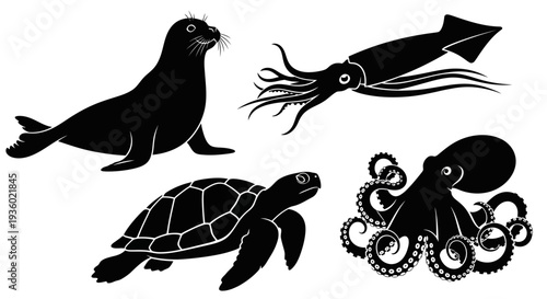 Marine Animals Silhouettes Set: Seal, Squid, Sea Turtle, Octopus Vector Illustration
