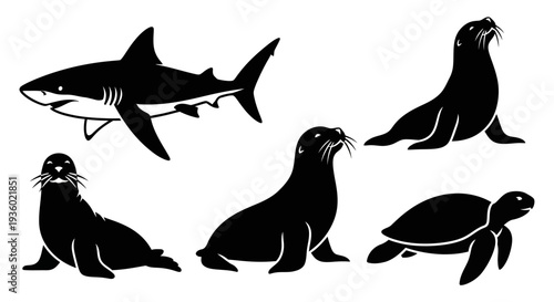 Marine Animals Silhouettes Set: Shark, Seals, and Sea Turtle Icons