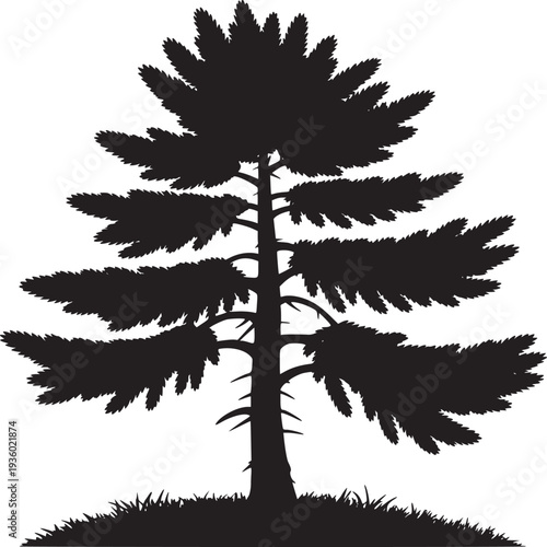 Silhouette of a pine tree with layered branches and grass against a white background in monochrome style