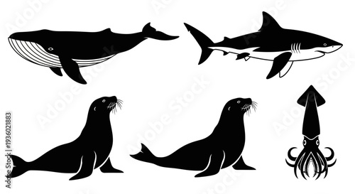 Marine Animals Silhouettes Set: Whale, Shark, Seals, and Squid Vector Collection