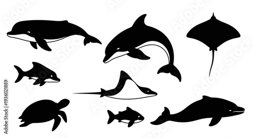 Marine Animals Silhouettes Vector Collection: Dolphin, Stingray, Turtle, Fish