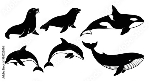 Marine Mammals Silhouettes Set: Orca, Dolphins, Whales, and Seals Collection