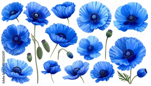 Vibrant Blue Poppy Flowers - A Botanical Watercolor Collection.