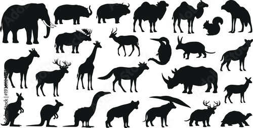 Wild animal silhouette collection vector set, safari wildlife mammals illustration, elephant lion giraffe deer camel isolated black clipart