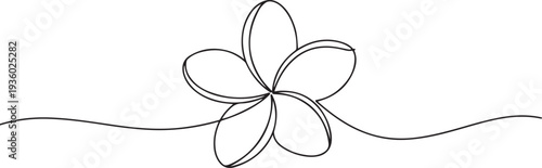One continuous line drawing of Plumeria flower. Frangipani blossom with petals for floral tattoo in simple linear style. one line Icon drawing