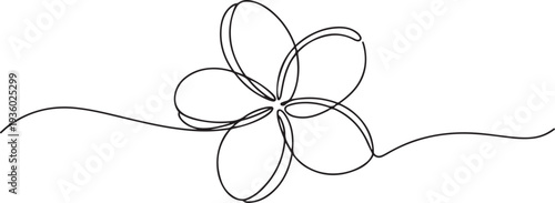 One continuous line drawing of Plumeria flower. Frangipani blossom with petals for floral tattoo in simple linear style. one line Icon drawing