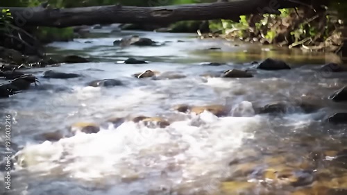 Water rushes down a stream bed covered with rocks, below an overhead log