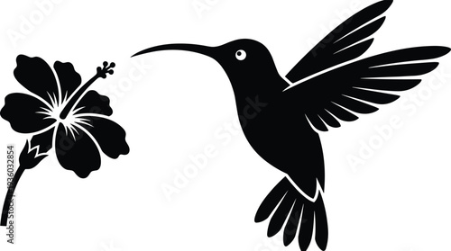Hummingbird feeding on hibiscus flower silhouette, tropical bird and blossom nature illustration for wildlife design, tattoo art and elegant vector symbol