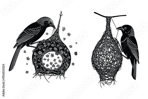 Birds Weaving Nests, Black Silhouette Vector Art
