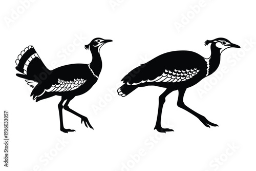 Decorative Birds Silhouette: Bustard and Ostrich Style