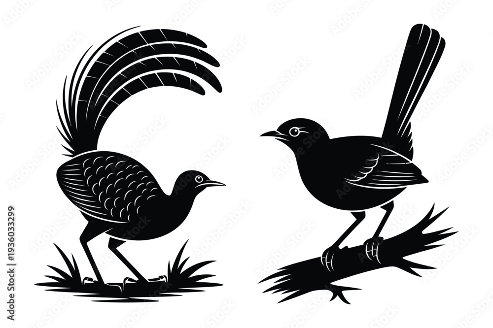 Fototapeta premium Stylized Birds, Male and Female, Silhouette Vector Illustration