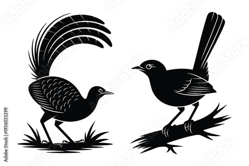 Stylized Birds, Male and Female, Silhouette Vector Illustration