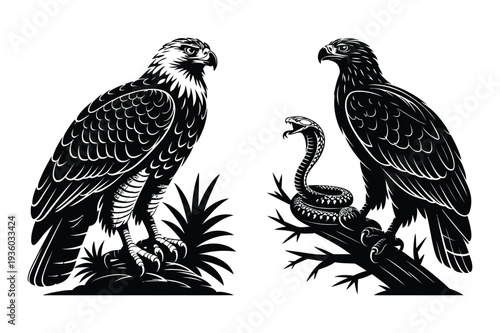 Eagle and Snake Silhouette Vector Art