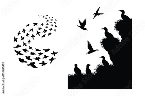 Birds Flying in Flock and Perched on Cliff