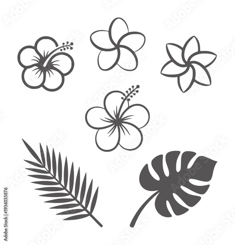 Black and white tropical flowers and leaves collection hibiscus