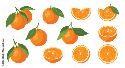 A diverse collection of whole oranges with single green leaves, half-cut oranges, and various wedge slices is neatly arranged on a bright white background.