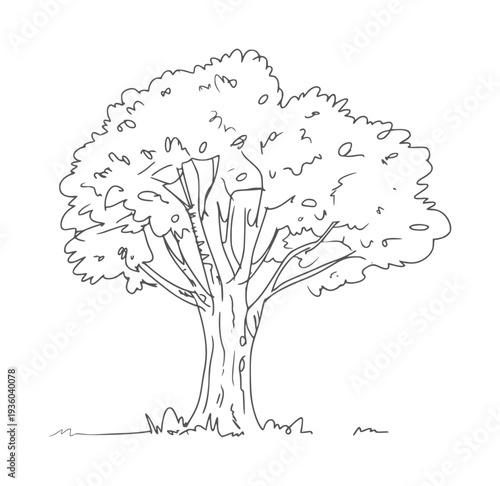 Simple black and white line of a deciduous tree with a full canopy and grass