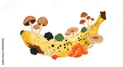 A yellow banana is uniquely adorned with an intricate array of sprouting mushrooms, various berries, dried fruit pieces, and white mycelial threads.