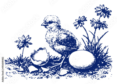 Cute little baby chick next to cracked egg shell and flowers for easter