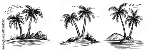 Palm trees on tropical islands set, hand-drawn sketch illustration of coastal landscape with coconut palms in engraving style