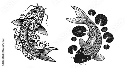 Set of 2 koi fish illustrations vector