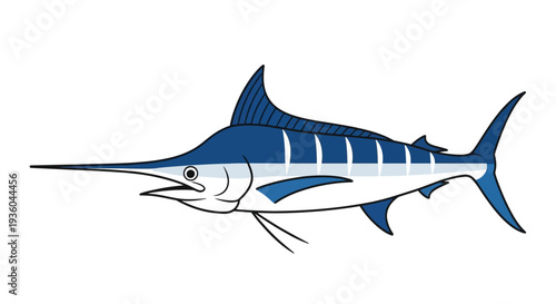 Blue Marlin Fish Illustration.