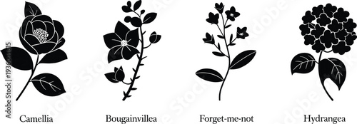 Flower silhouette collection, camellia bougainvillea forget me not and hydrangea botanical plants isolated black floral vector illustration
