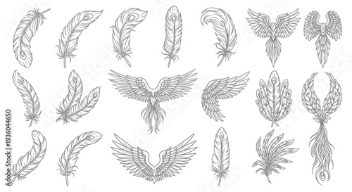 Collection of Hand-Drawn Feathers and Mythical Bird Elements, Sketch Style