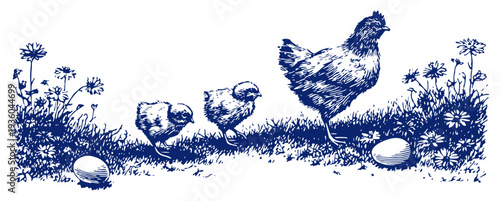 Farmyard scene with a mother hen and small chicks in a meadow with flowers