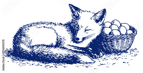 Sleeping fox animal lying down next to a basket of eggs vintage woodcut illustration