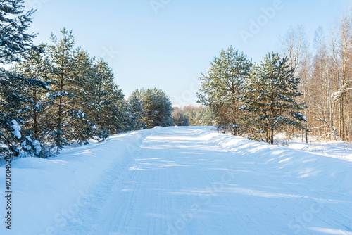 A snow-covered forest road - tall trees on both sides, a clear blue sky, serene and cold winter landscape
