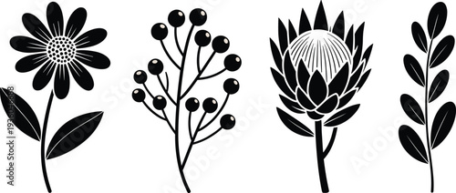 Wildflower silhouette collection with daisy berry branch protea and leaf stem, botanical floral vector illustration set for nature design