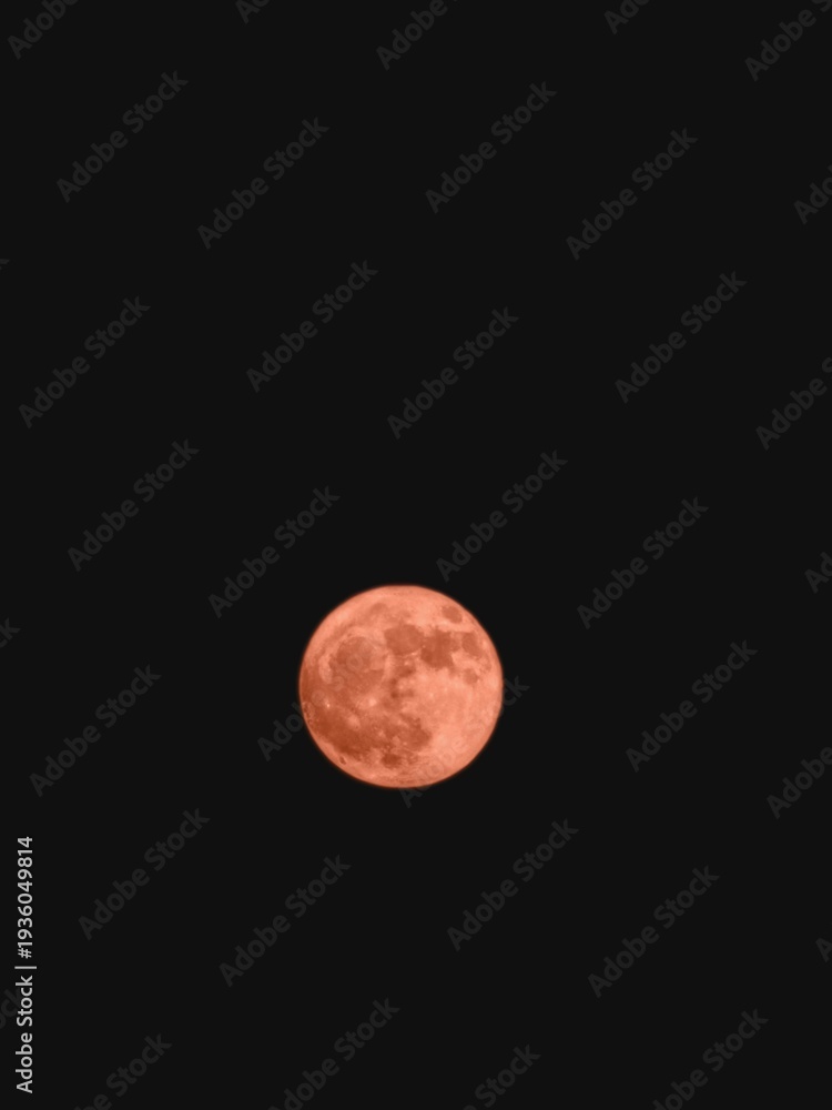 Fototapeta premium moon in the night sky