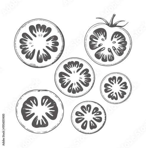 Black and white ink of sliced tomatoes and one whole tomato