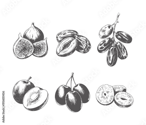 Black and white ink of various fruits including figs plums dates and cherries