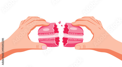A pair of hands precisely pulls apart a vibrant pink macaroon, exposing the intricate layers of its sweet white cream filling on a pure white backdrop.