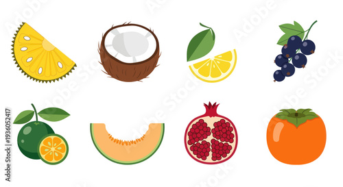 Assorted colorful fruit slices and whole fruits