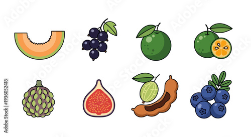 Assorted colorful fruit vector illustration