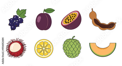 Assorted tropical fruit illustrations