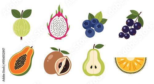 Assortment of colorful fresh fruits illustration