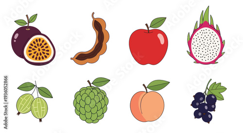 Assortment of colorful fruit illustrations